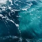 Ocean Sounds
