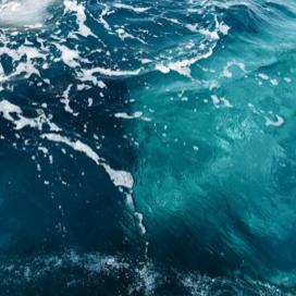 Ocean Sounds