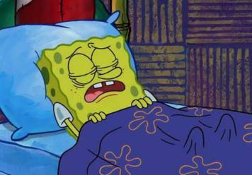best funny sleep quotes and memes