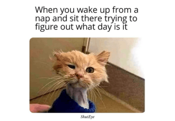 Funny waking up memes 2024