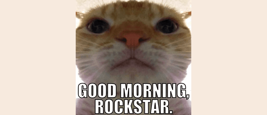 30+ Funny Good Morning Memes In 2024