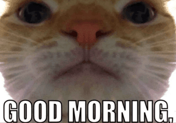 good morning memes