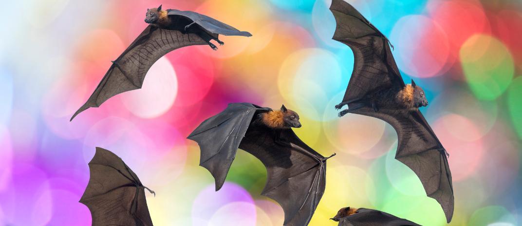 what does it mean to dream about bats? interpretation