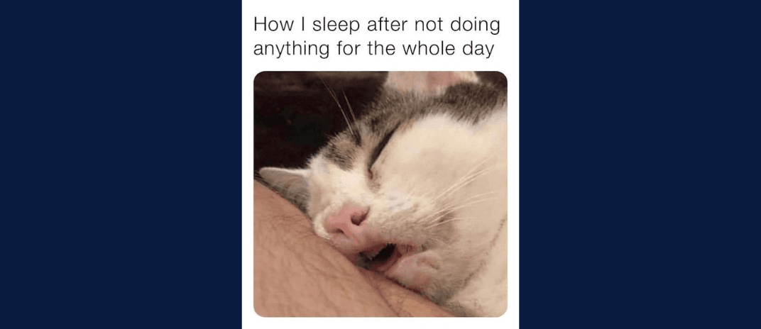 40+ Best Sleeping Meme To Keep You Laughing In Bed (2024)