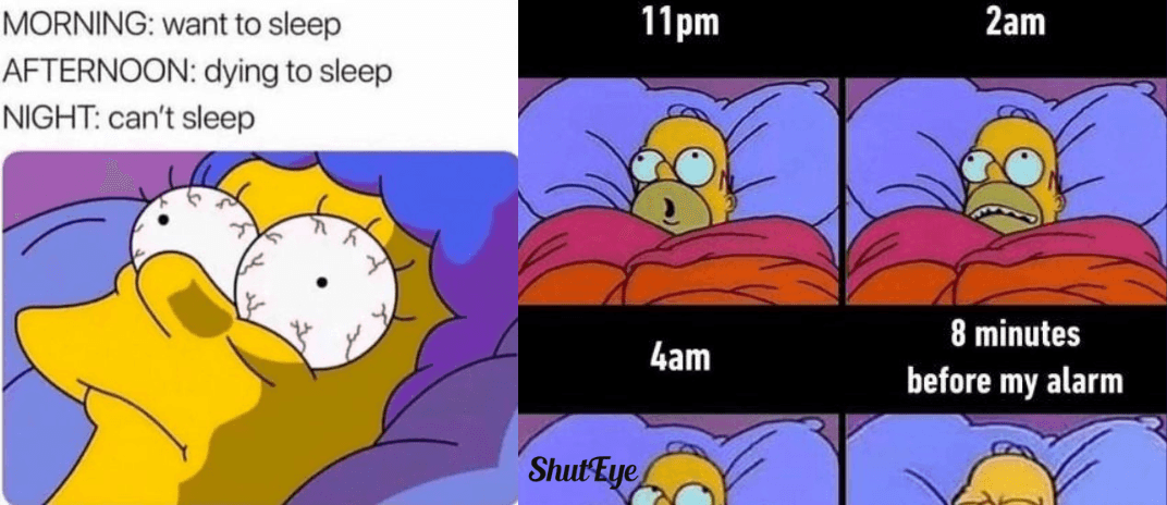 40+ Witty Cant Sleep Memes For Insomniacs