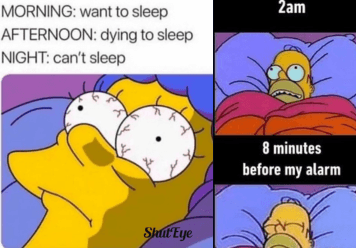 40 Best Cant Sleep Memes That Will Make You Laugh Till It Hurts