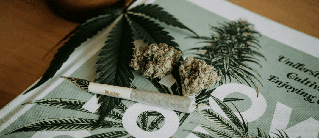 What Happens When You Sleep High?