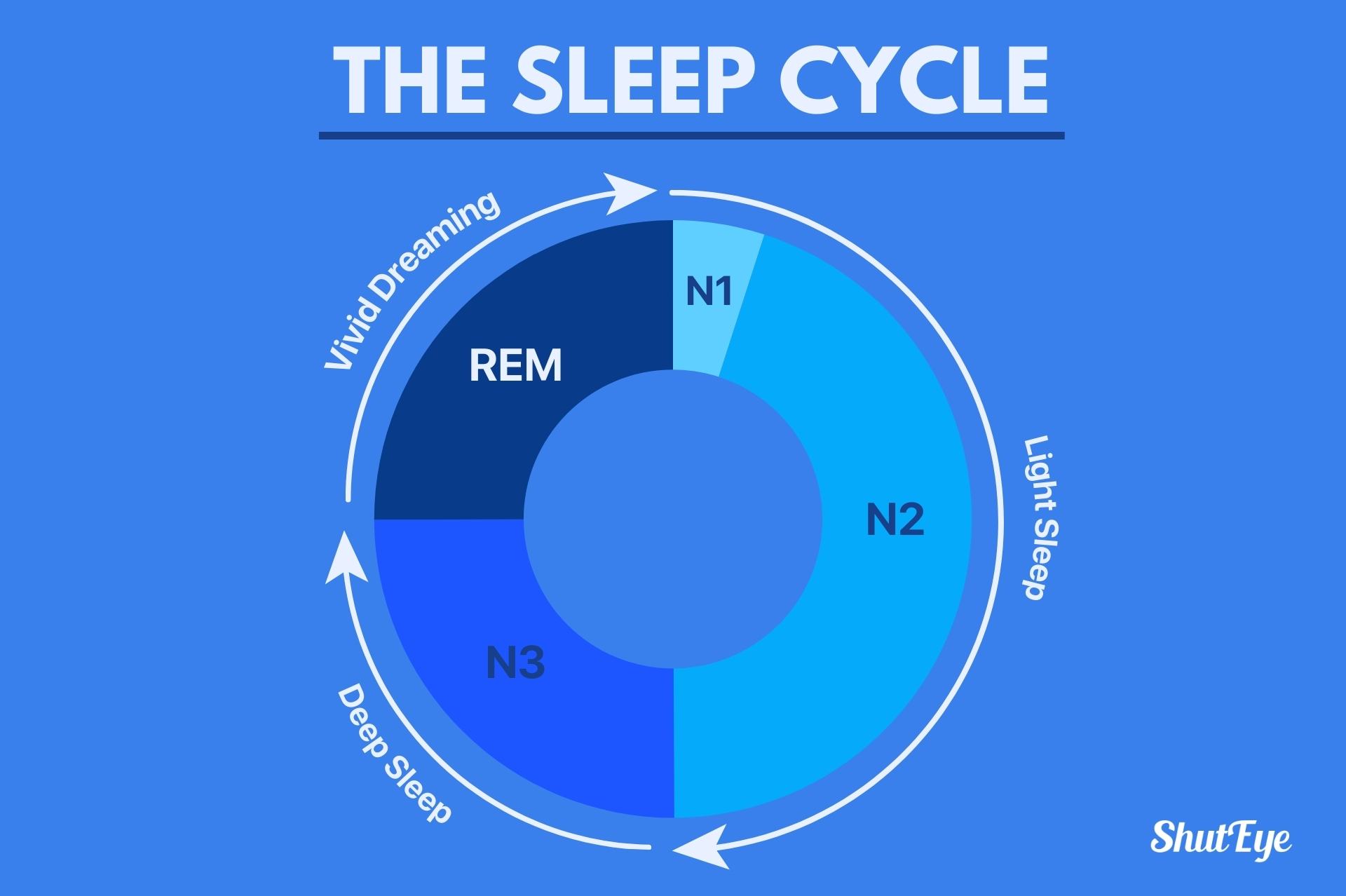 Sleep Stages: What Happens During each stage of sleep cycle