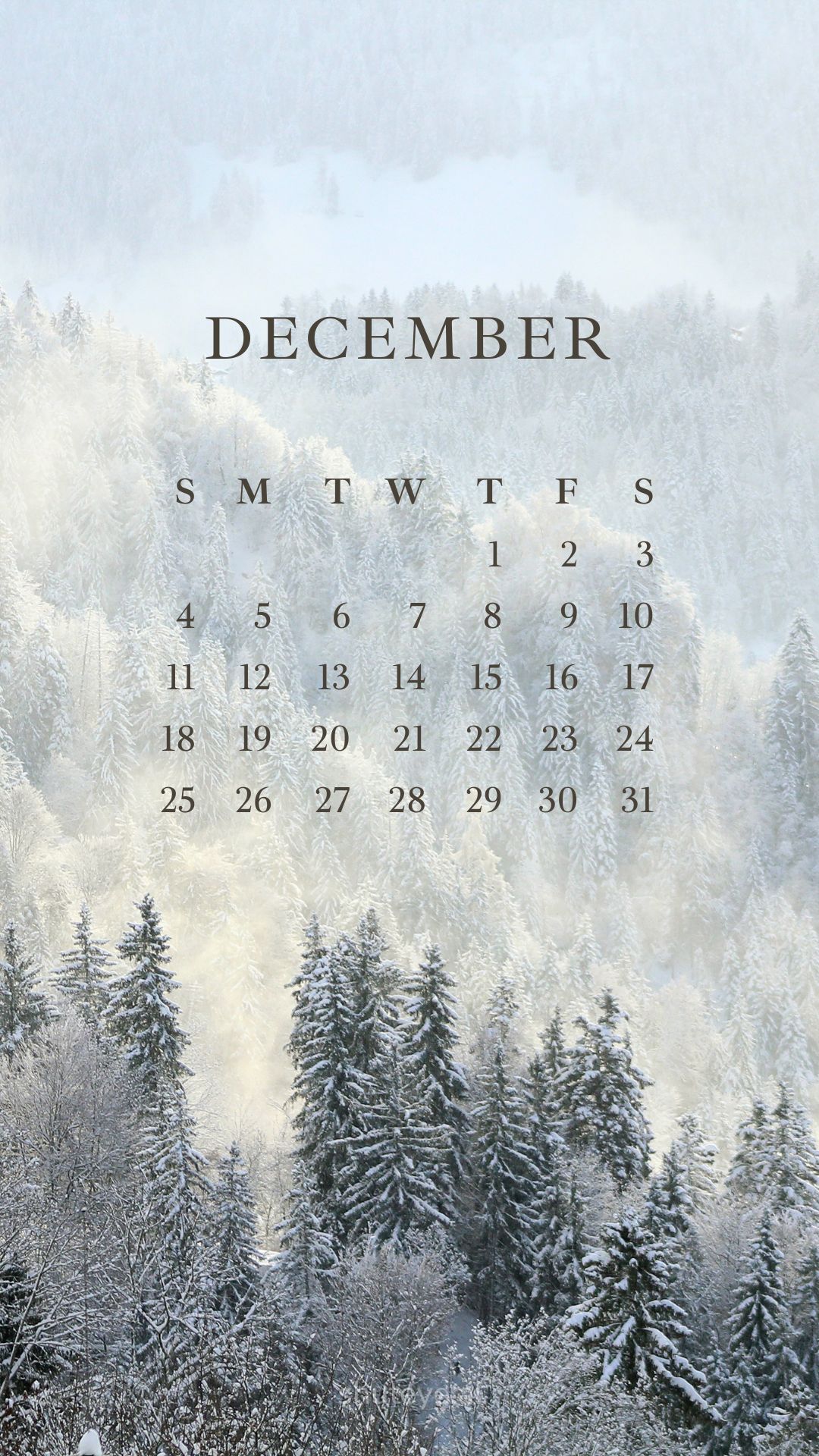 Printable December Calendar 2024 | Free Printable Calendars - ShutEye