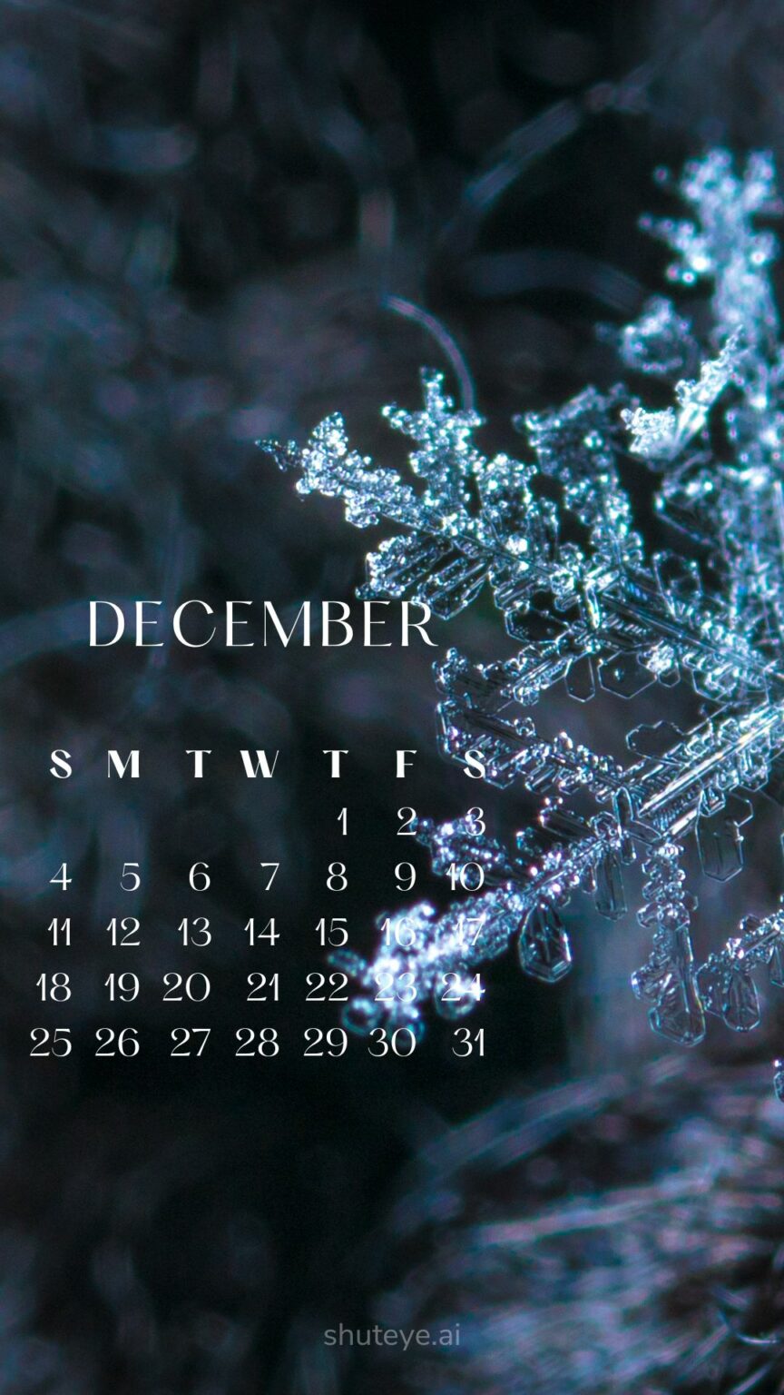 Printable December Calendar 2024 | Free Printable Calendars - ShutEye