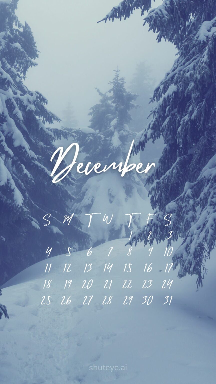 Printable December Calendar 2024 | Free Printable Calendars - ShutEye