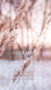 Printable December Calendar 2024 | Free Printable Calendars - ShutEye