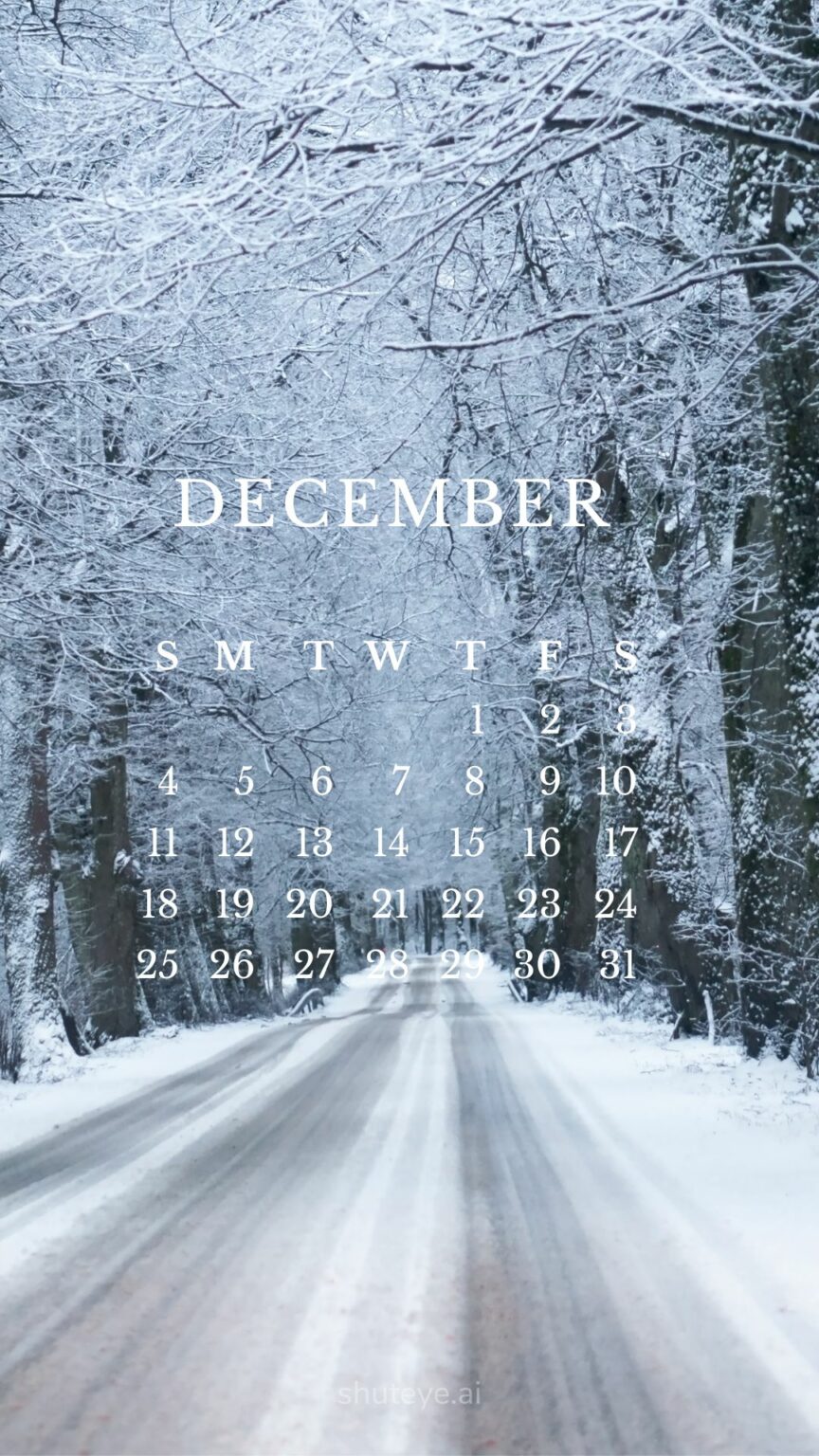 Printable December Calendar 2024 | Free Printable Calendars - ShutEye