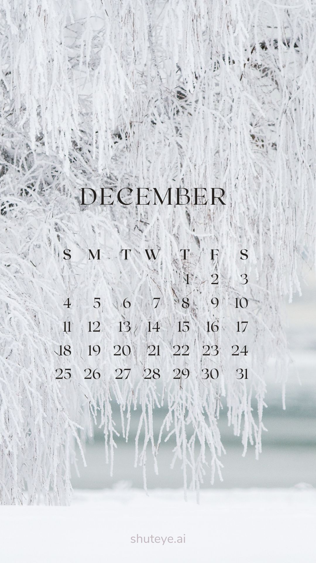 Printable December Calendar 2024 | Free Printable Calendars - ShutEye