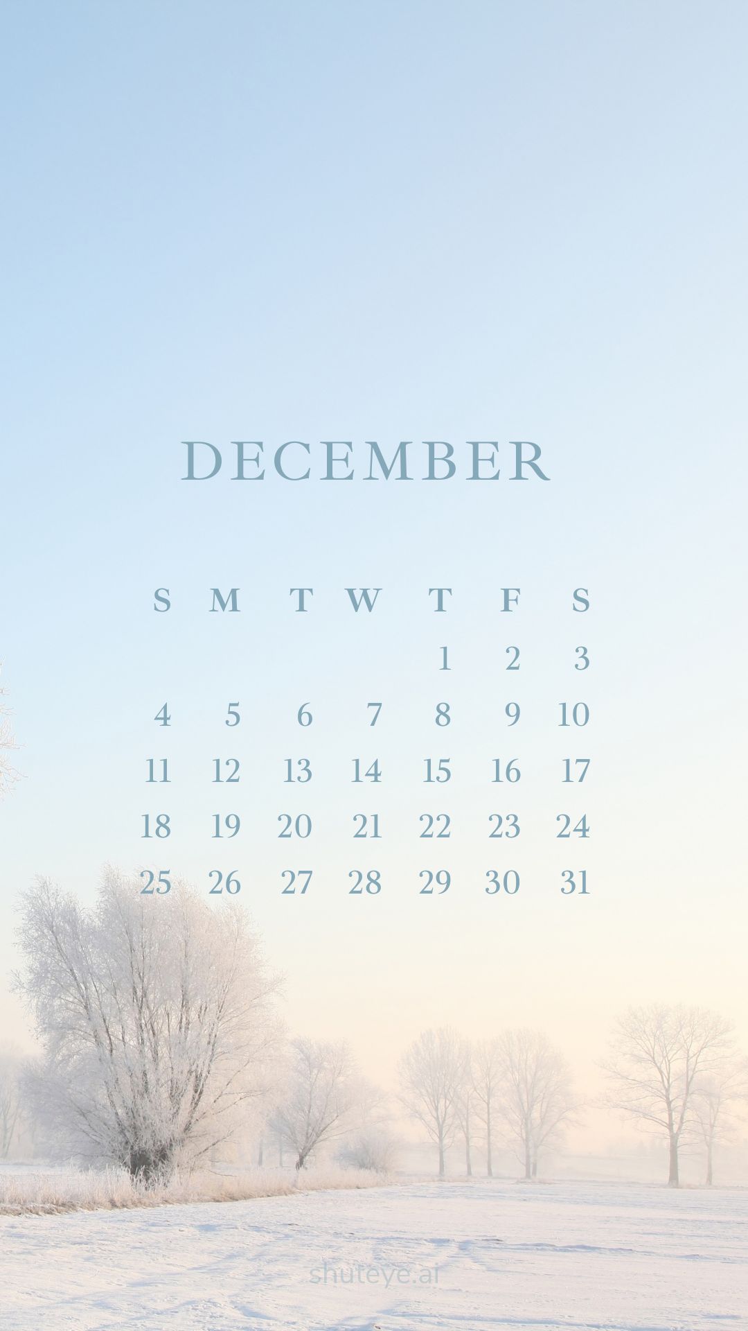 Printable December Calendar 2024 | Free Printable Calendars - ShutEye