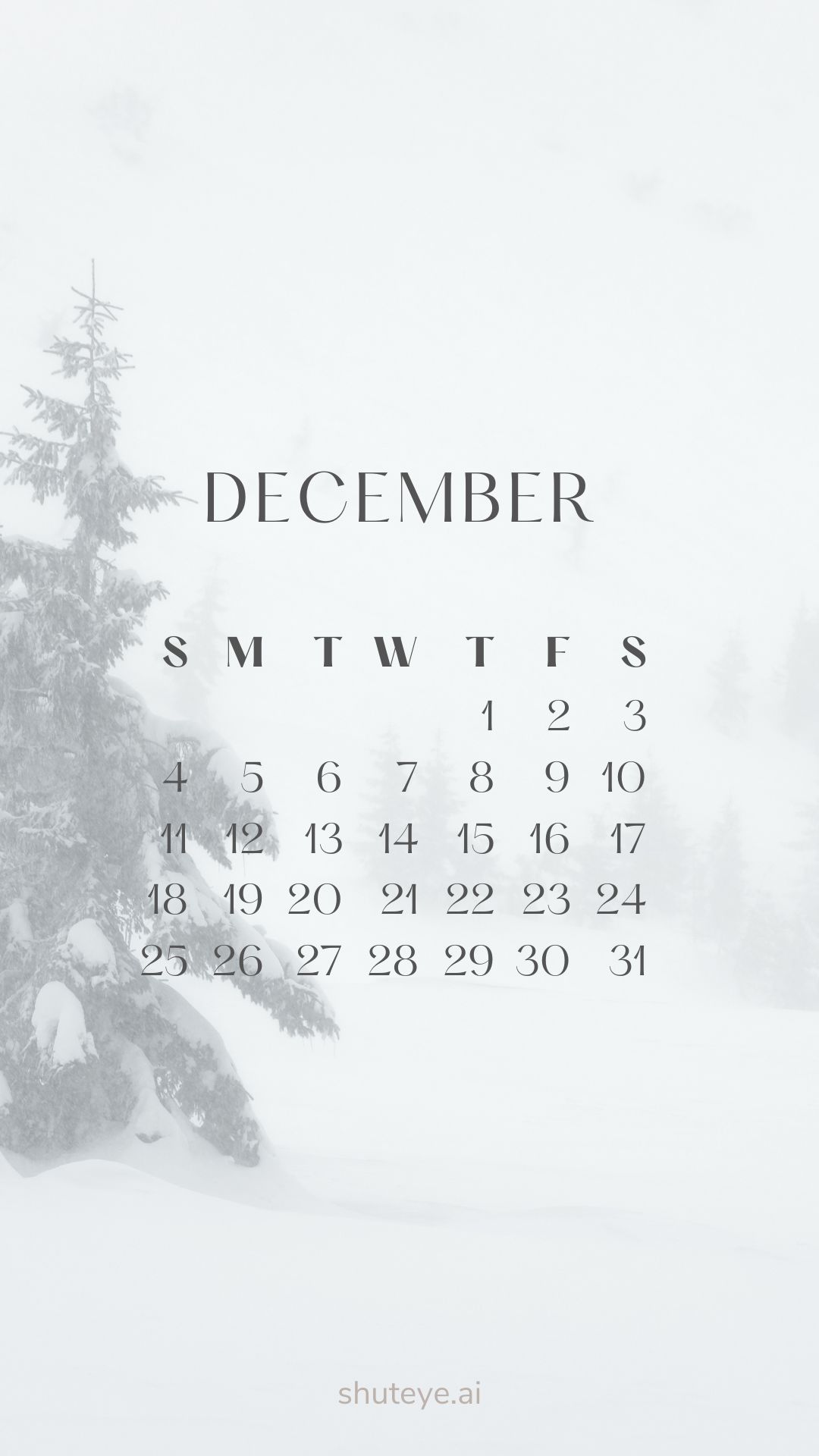 Printable December Calendar 2024 | Free Printable Calendars - ShutEye