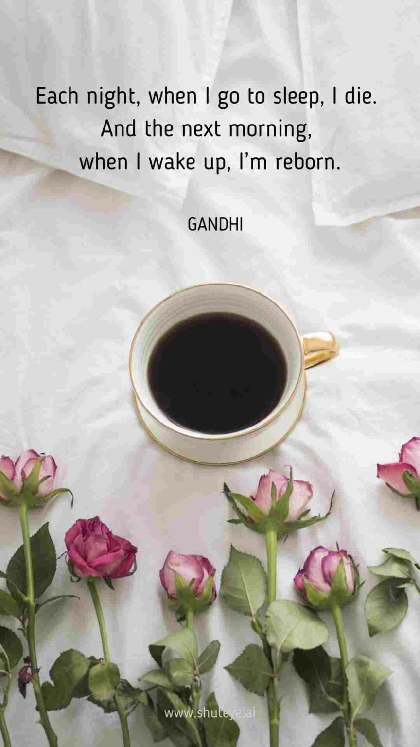50 Best Sleep Quotes for Better Sleep and Positive Mood ShutEye