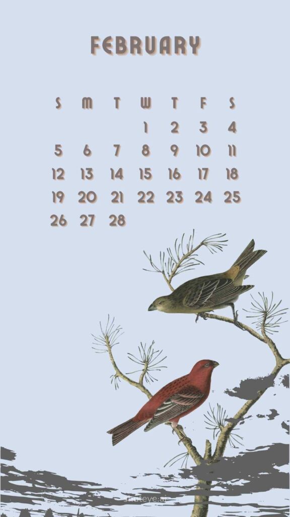 Printable February Calendar 2024