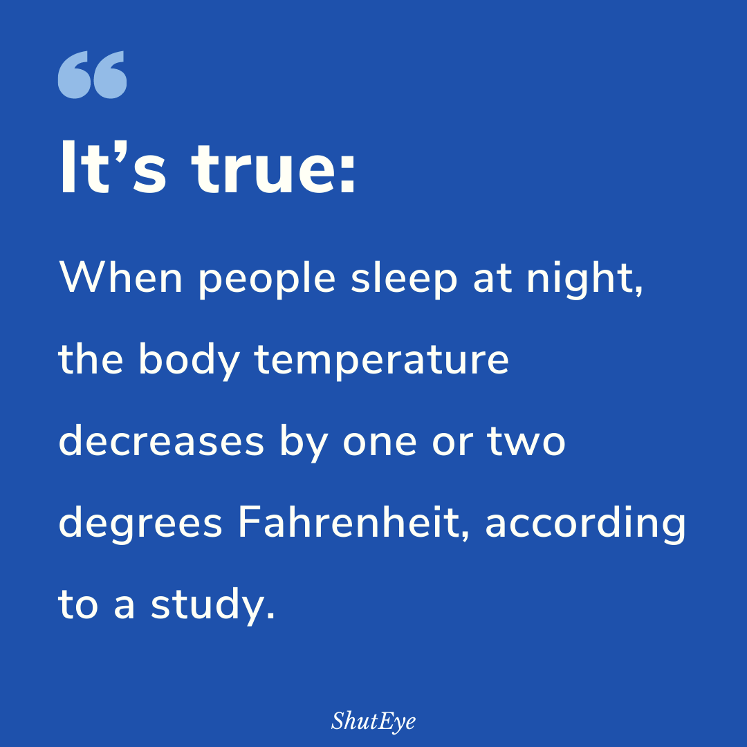 15 Interesting Facts About Sleeping With Someone - Slice