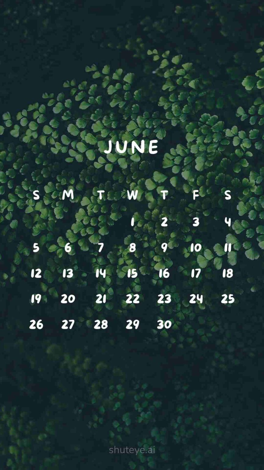 Printable June Calendar 2024 | Free Printable Calendars - ShutEye