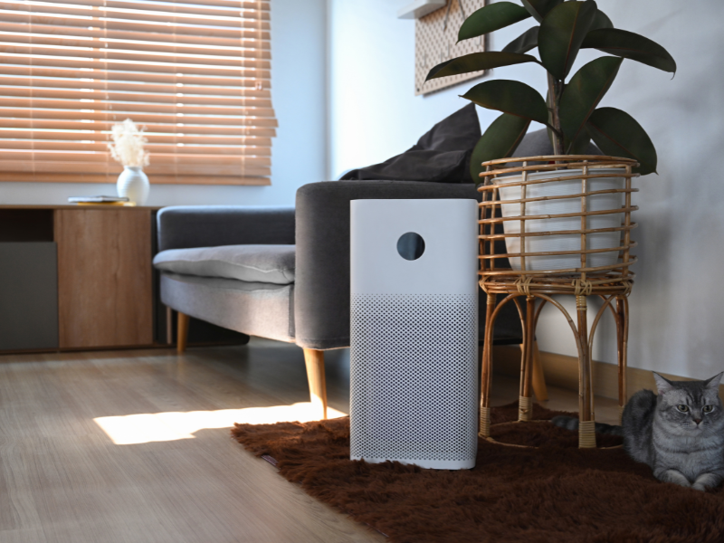 home air purifier sleep product