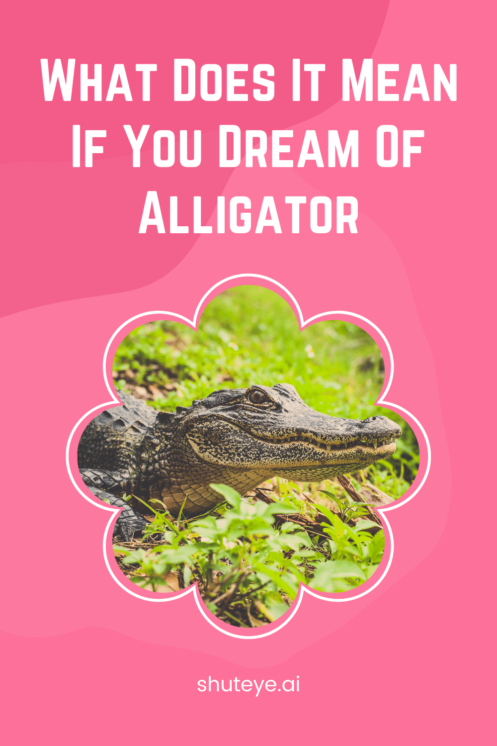 What does it mean if you dream of alligator