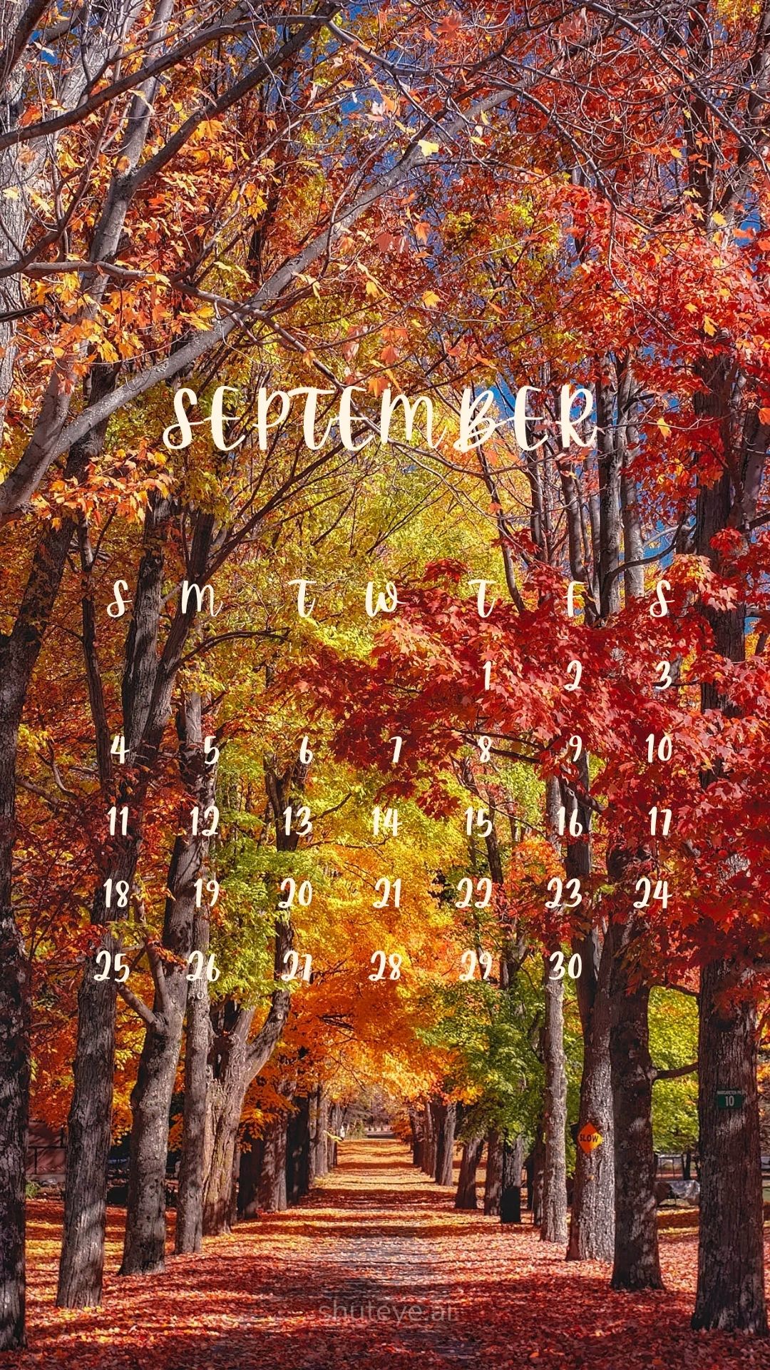 Printable September Calendar 2024 | Free Printable Calendars - ShutEye