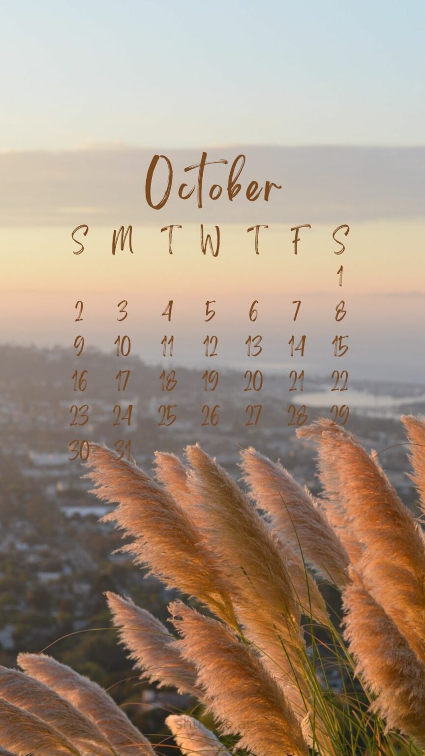 100+ Printable October Calendar Ideas | Free Calendars 2024 - ShutEye