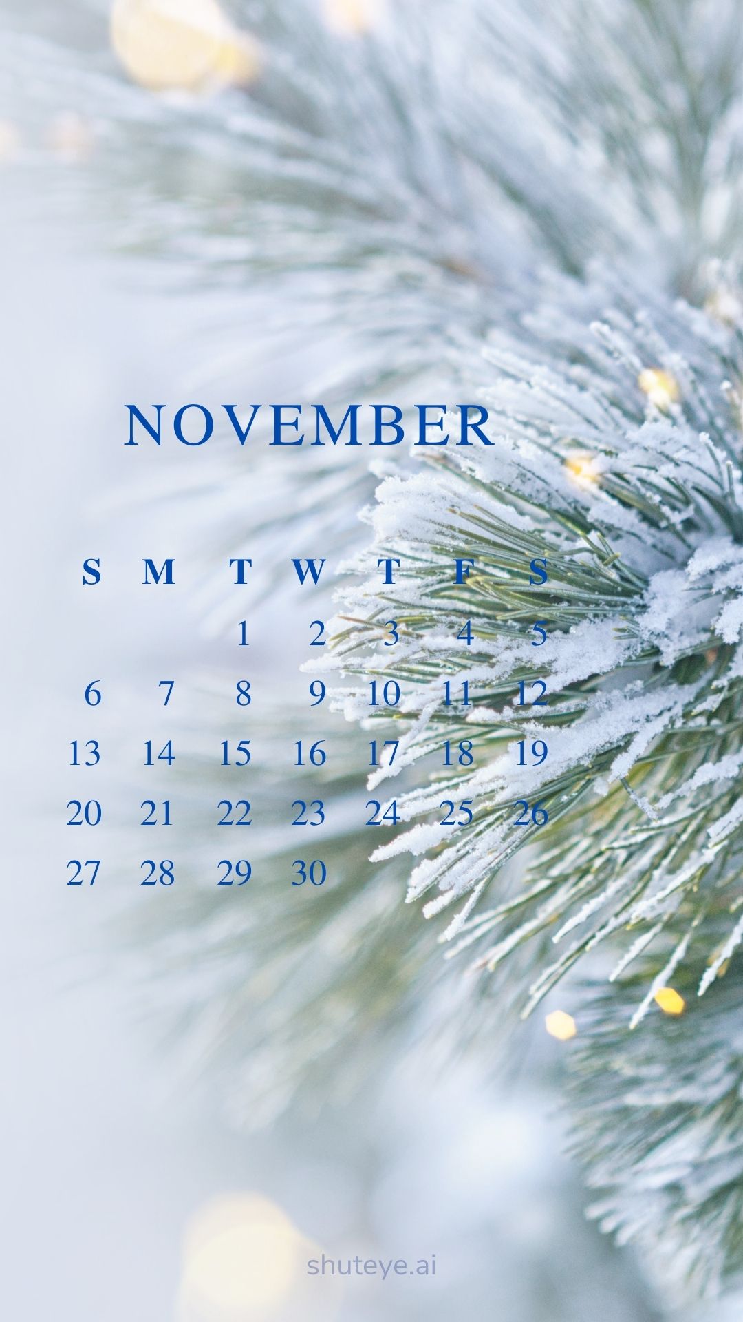 100+ Printable November Calendar Ideas | Free Calendars 2024 - ShutEye