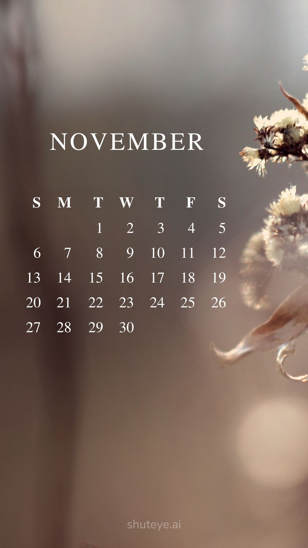 100+ Printable November Calendar Ideas | Free Calendars 2024 - ShutEye