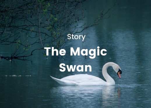 Story - The Magic Swan