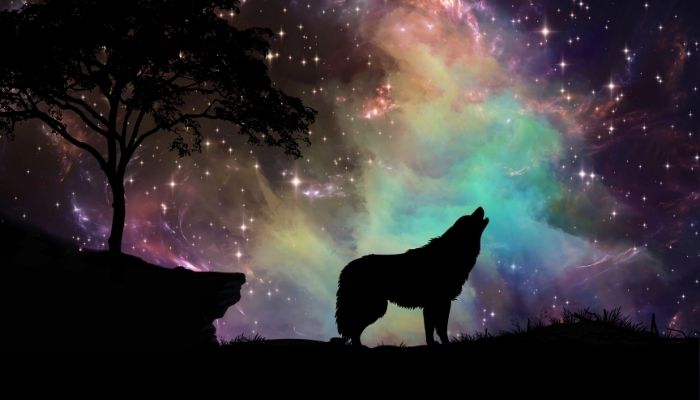 What Does It Mean When You Dream about Wolves?