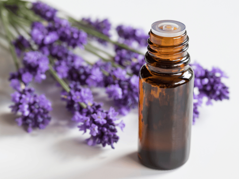 lavender essential oil for sleep