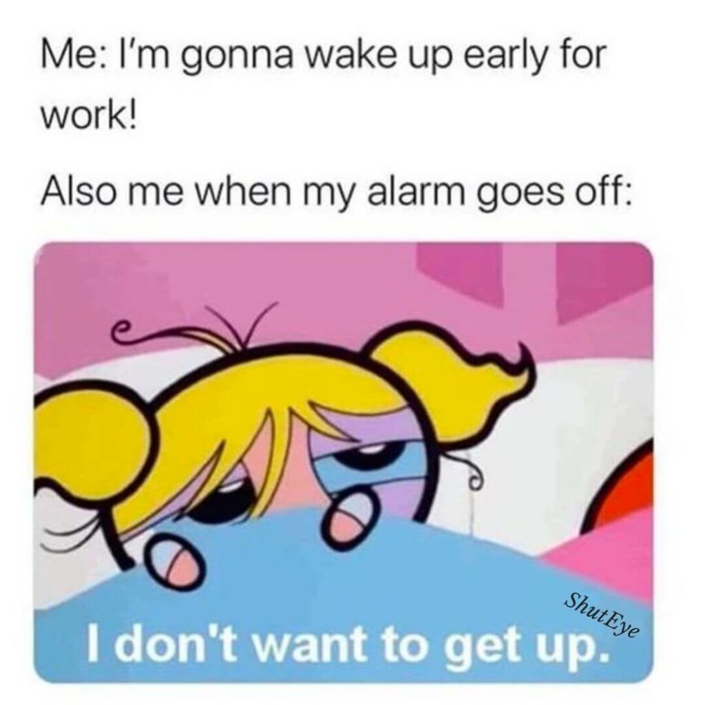 30 Funny Waking Up Memes That Brighten Your Day ShutEye