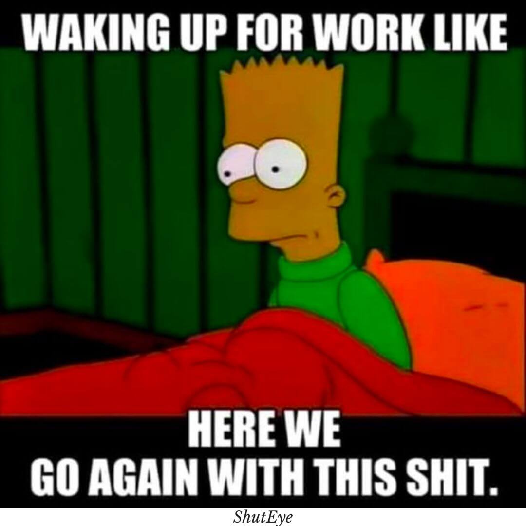 30+ Funny Waking Up Memes That Brighten Your Day ShutEye