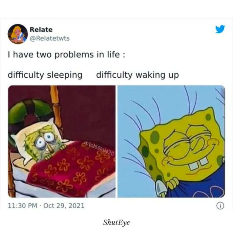 30+ Funny Waking Up Memes That Brighten Your Day ShutEye