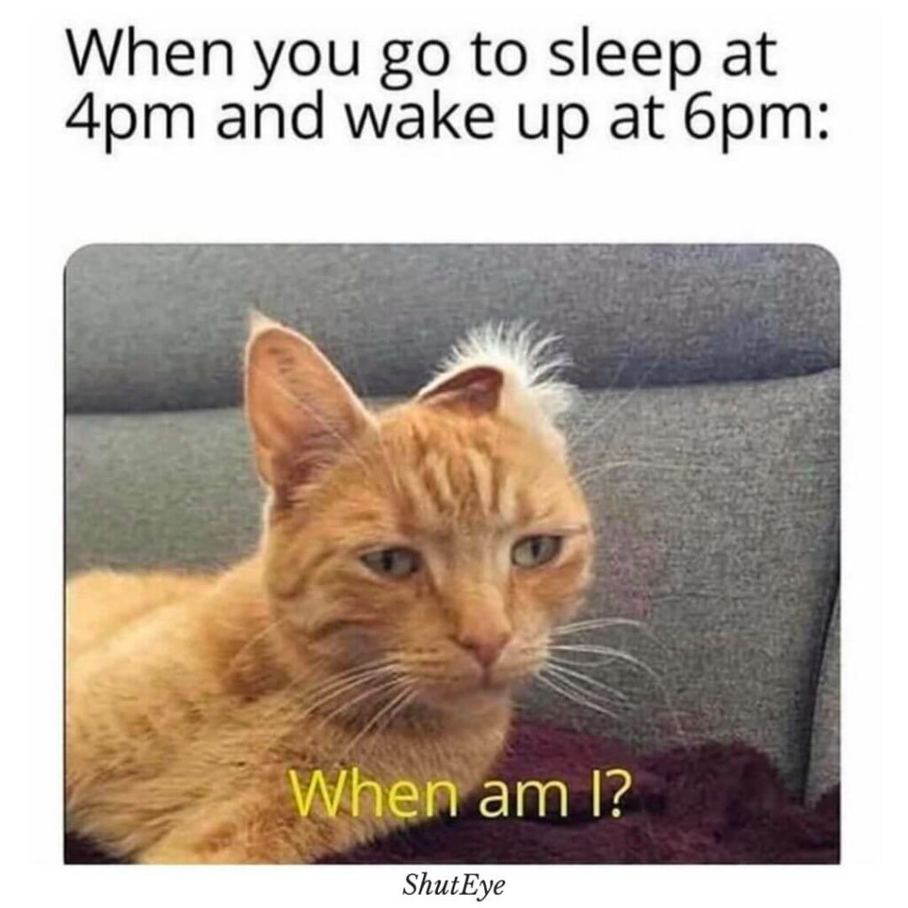 30 Funny Waking Up Memes That Brighten Your Day ShutEye