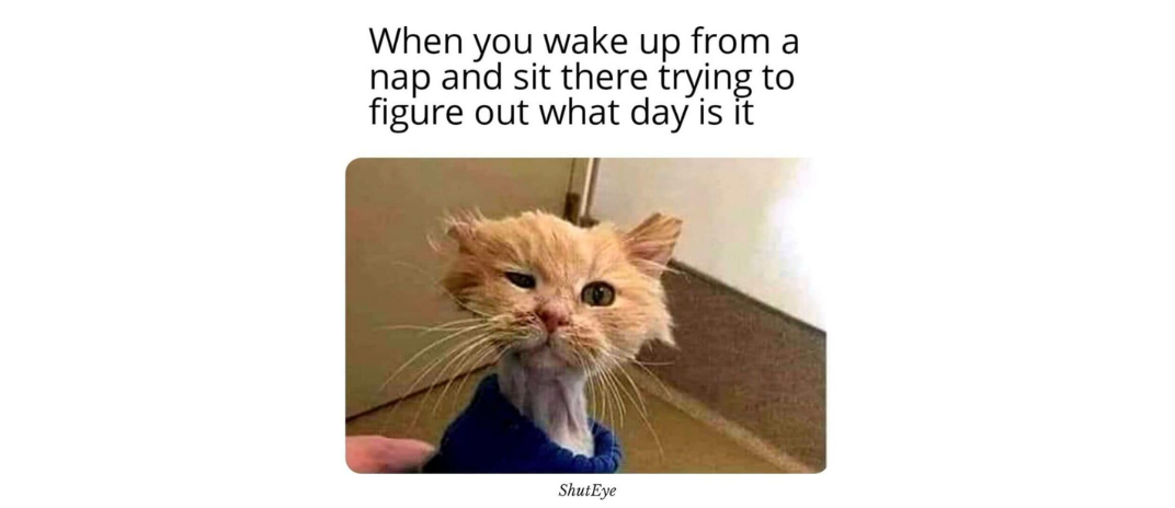 30+ Funny Waking Up Memes That Will Brighten Your Day (2024)