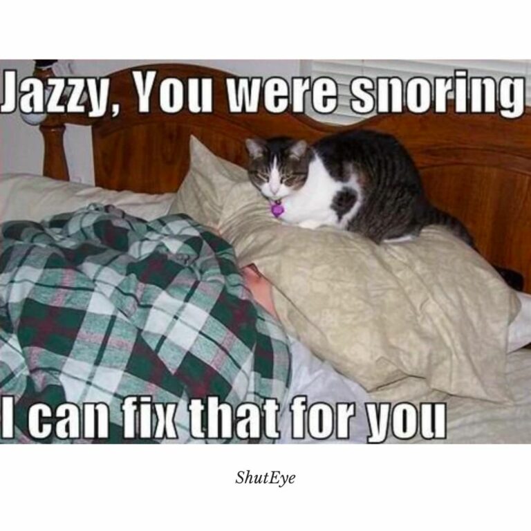 Best Snoring Memes of 2023 ShutEye