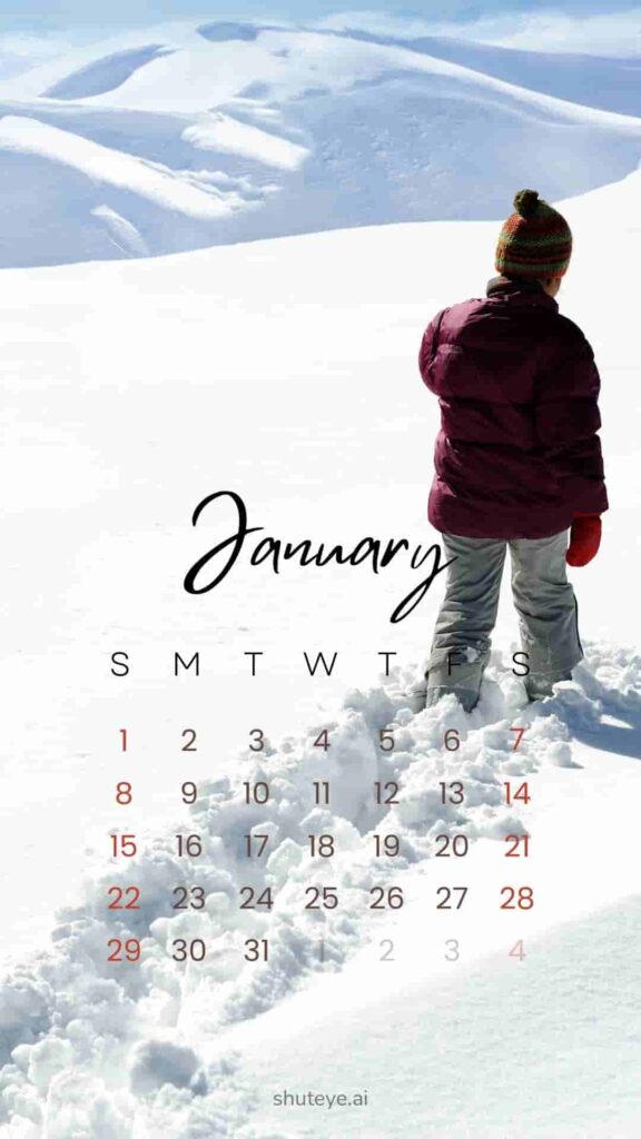 Free Printable January Calendar 2024