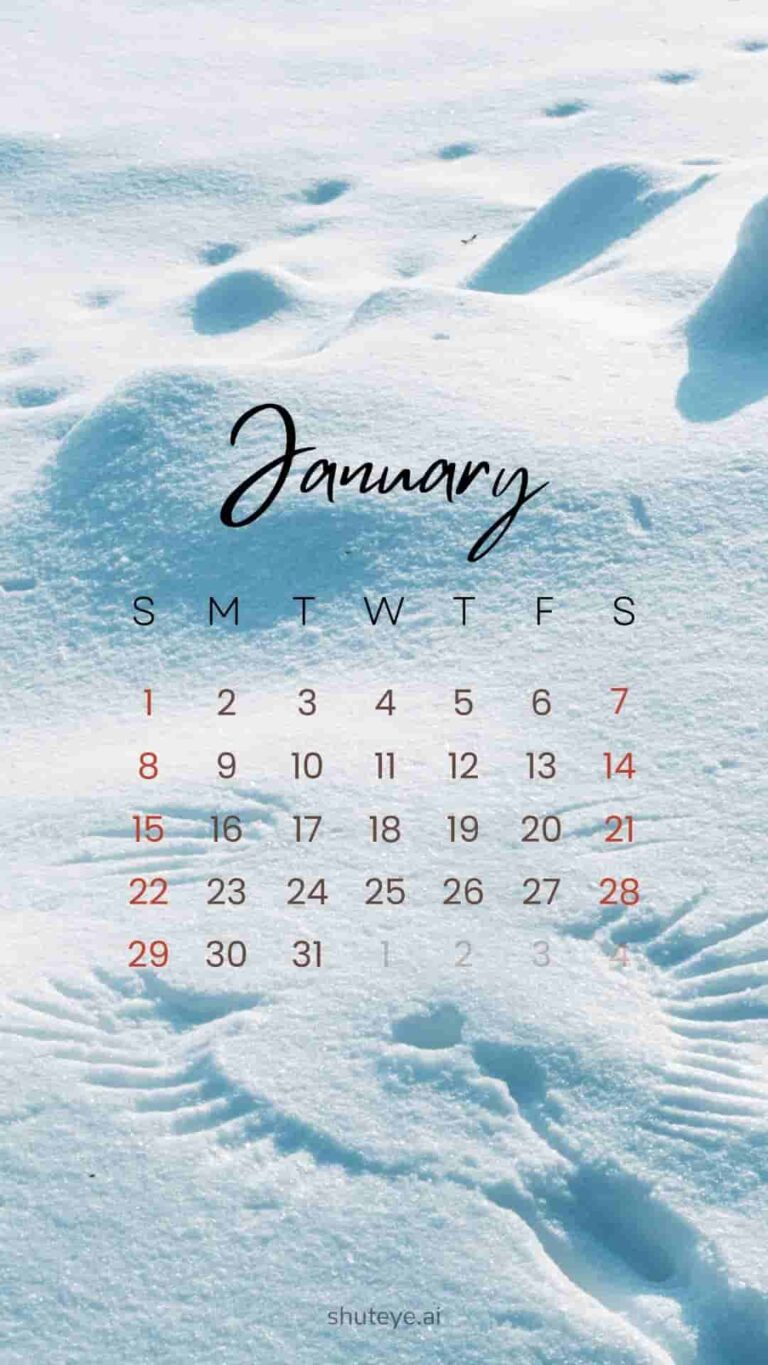 Printable January Calendar 2024 | Free Printable Calendars - ShutEye