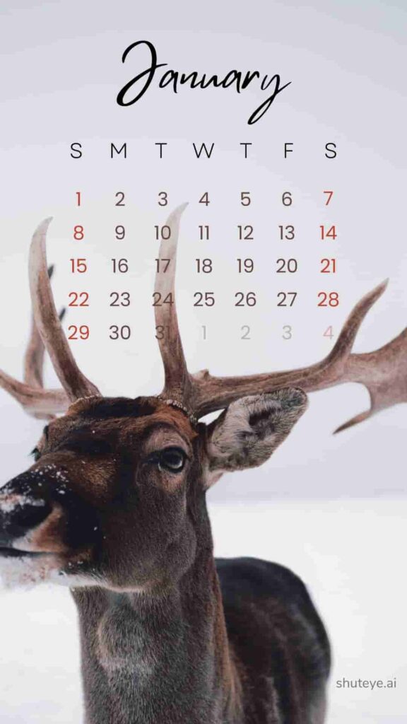 Free Printable January Calendar 2024