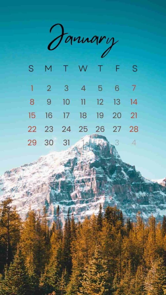 Free Printable January Calendar 2024