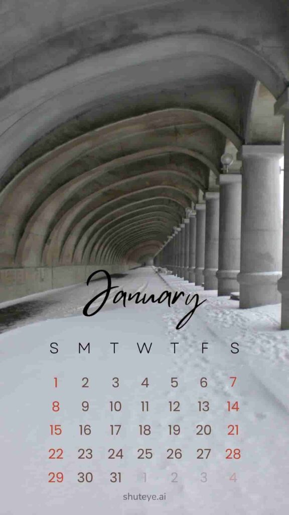 Free Printable January Calendar 2024