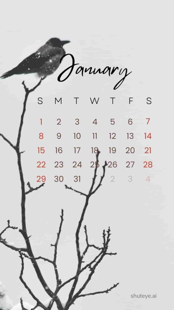 Free Printable January Calendar 2024