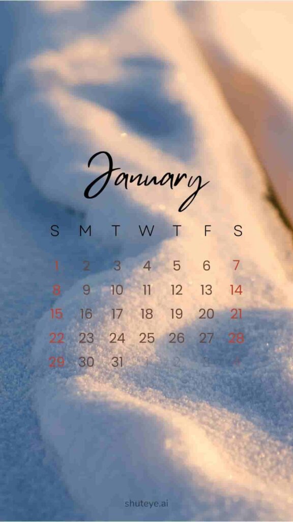 Free Printable January Calendar 2024