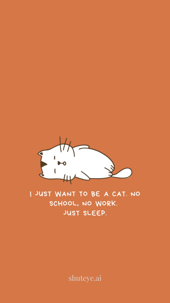 i just want to be a cat no school no work just sleep