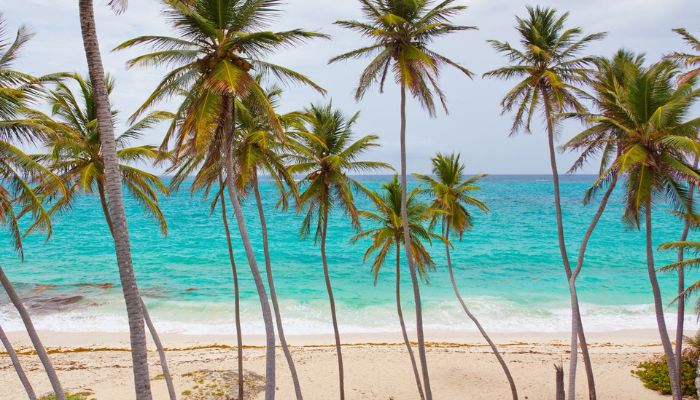 how-many-days-until-summer-shuteye