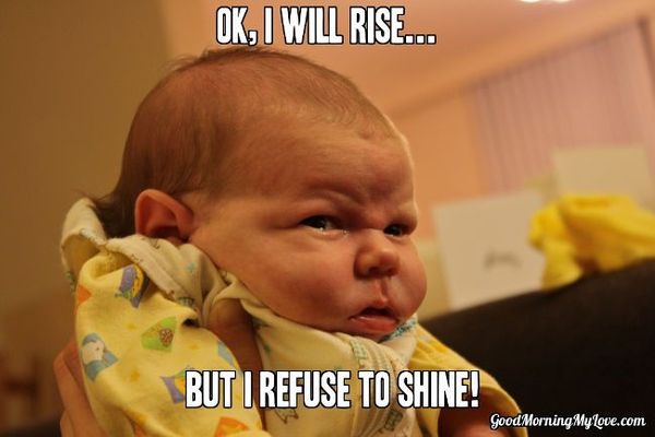 ok i will rise but i refuse to shine funny good morning meme