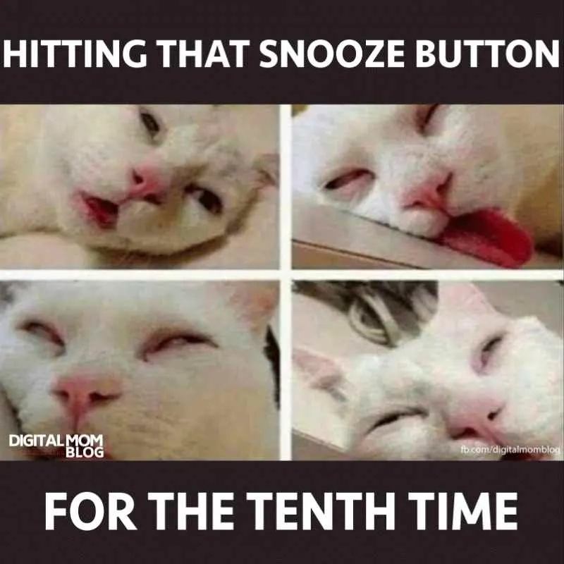 hate this moment in the morning when i have to hit snooze button for the tenth time